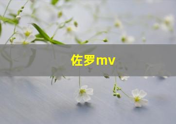 佐罗mv