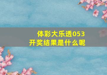 体彩大乐透053开奖结果是什么呢