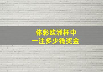 体彩欧洲杯中一注多少钱奖金