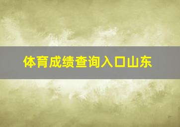 体育成绩查询入口山东