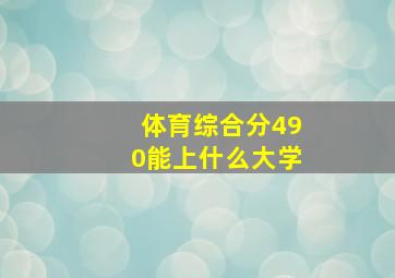 体育综合分490能上什么大学