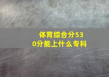 体育综合分530分能上什么专科