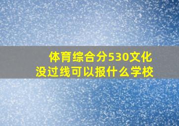 体育综合分530文化没过线可以报什么学校