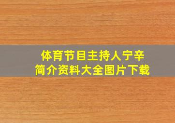 体育节目主持人宁辛简介资料大全图片下载