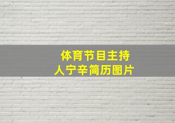 体育节目主持人宁辛简历图片