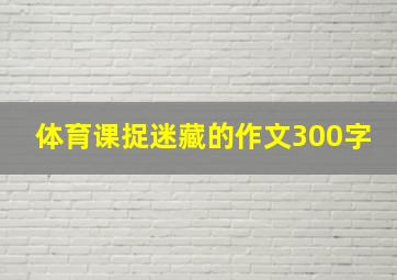 体育课捉迷藏的作文300字