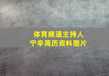 体育频道主持人宁辛简历资料图片