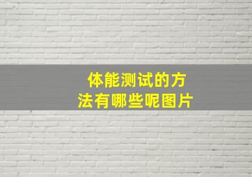 体能测试的方法有哪些呢图片