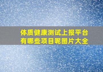 体质健康测试上报平台有哪些项目呢图片大全