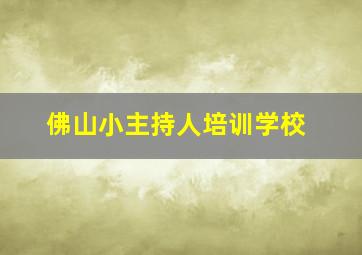 佛山小主持人培训学校