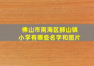 佛山市南海区狮山镇小学有哪些名字和图片