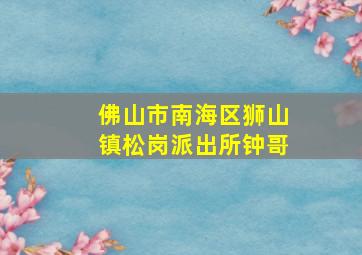 佛山市南海区狮山镇松岗派出所钟哥