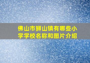 佛山市狮山镇有哪些小学学校名称和图片介绍