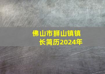 佛山市狮山镇镇长简历2024年