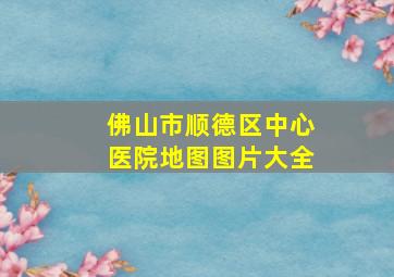 佛山市顺德区中心医院地图图片大全