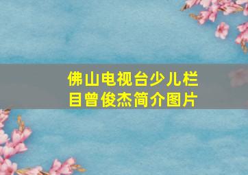 佛山电视台少儿栏目曾俊杰简介图片