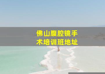 佛山腹腔镜手术培训班地址