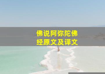 佛说阿弥陀佛经原文及译文