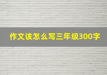 作文该怎么写三年级300字