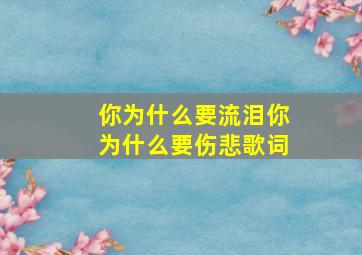 你为什么要流泪你为什么要伤悲歌词