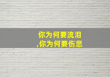 你为何要流泪,你为何要伤悲