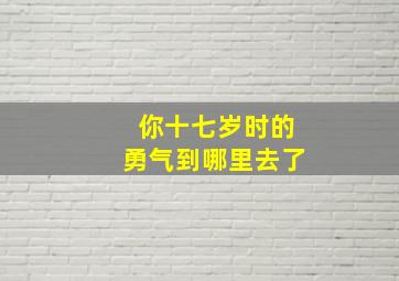 你十七岁时的勇气到哪里去了