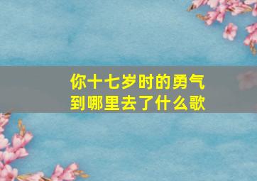 你十七岁时的勇气到哪里去了什么歌