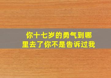 你十七岁的勇气到哪里去了你不是告诉过我