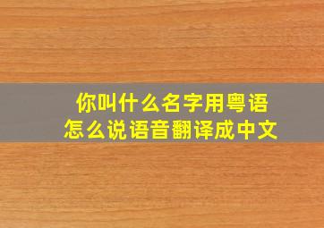 你叫什么名字用粤语怎么说语音翻译成中文