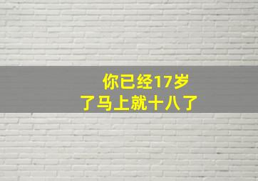 你已经17岁了马上就十八了