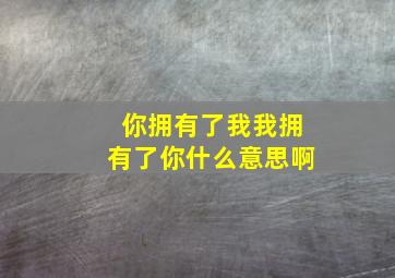 你拥有了我我拥有了你什么意思啊