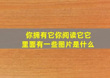 你拥有它你阅读它它里面有一些图片是什么