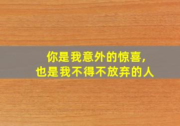 你是我意外的惊喜,也是我不得不放弃的人