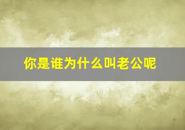 你是谁为什么叫老公呢