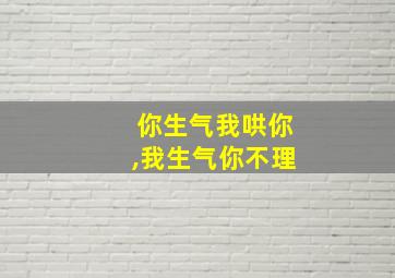 你生气我哄你,我生气你不理