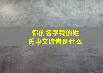 你的名字我的姓氏中文谐音是什么