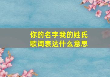 你的名字我的姓氏歌词表达什么意思