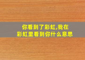 你看到了彩虹,我在彩虹里看到你什么意思