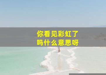 你看见彩虹了吗什么意思呀