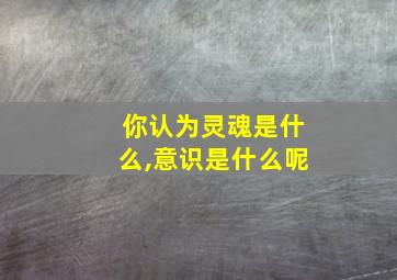 你认为灵魂是什么,意识是什么呢