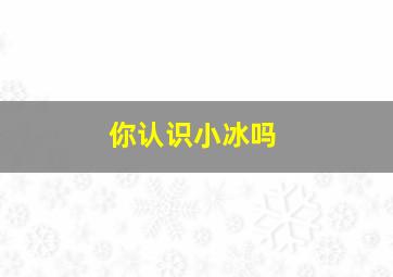 你认识小冰吗