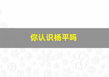 你认识杨平吗