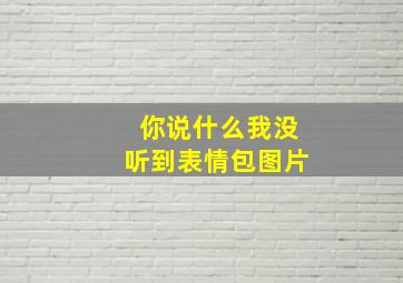 你说什么我没听到表情包图片