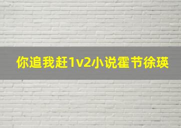 你追我赶1v2小说霍节徐瑛