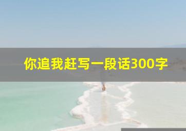 你追我赶写一段话300字