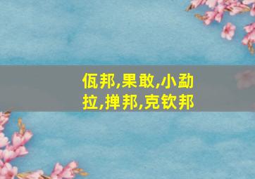 佤邦,果敢,小勐拉,掸邦,克钦邦