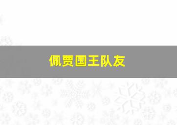 佩贾国王队友