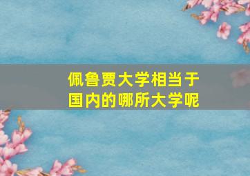 佩鲁贾大学相当于国内的哪所大学呢