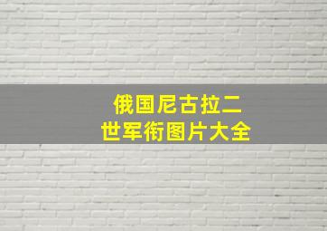 俄国尼古拉二世军衔图片大全