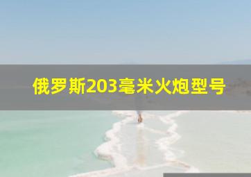 俄罗斯203毫米火炮型号